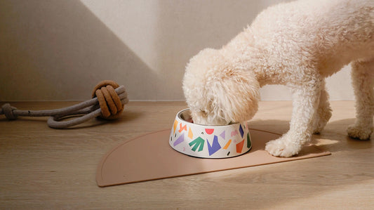 The Benefits of Feeding Mats for Your Furry Friend