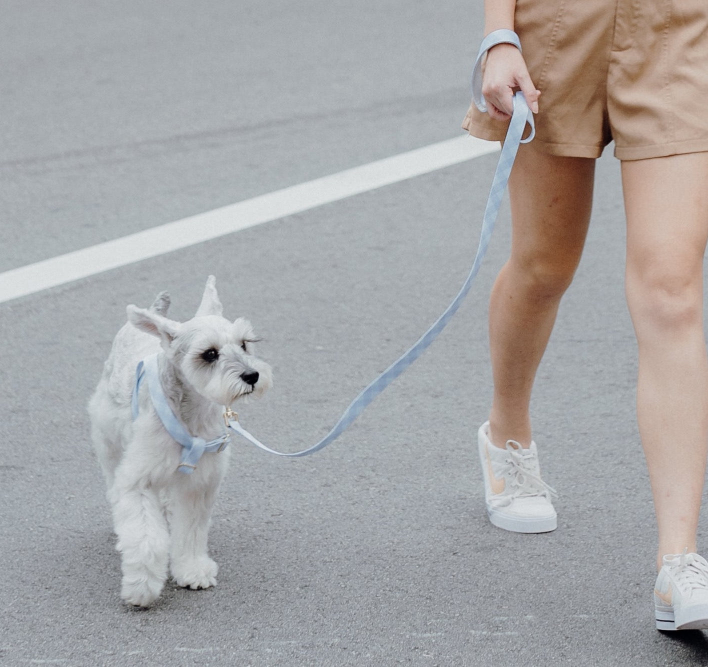 Archie’s Dog Step-in Dog Harness