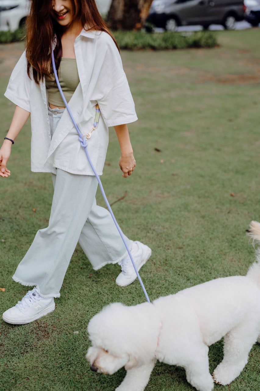 Periwinkle Dog Hands-Free Leash