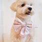 Cuddle Me, Baby Dog Sailor Bow Tie (Pride Collection)