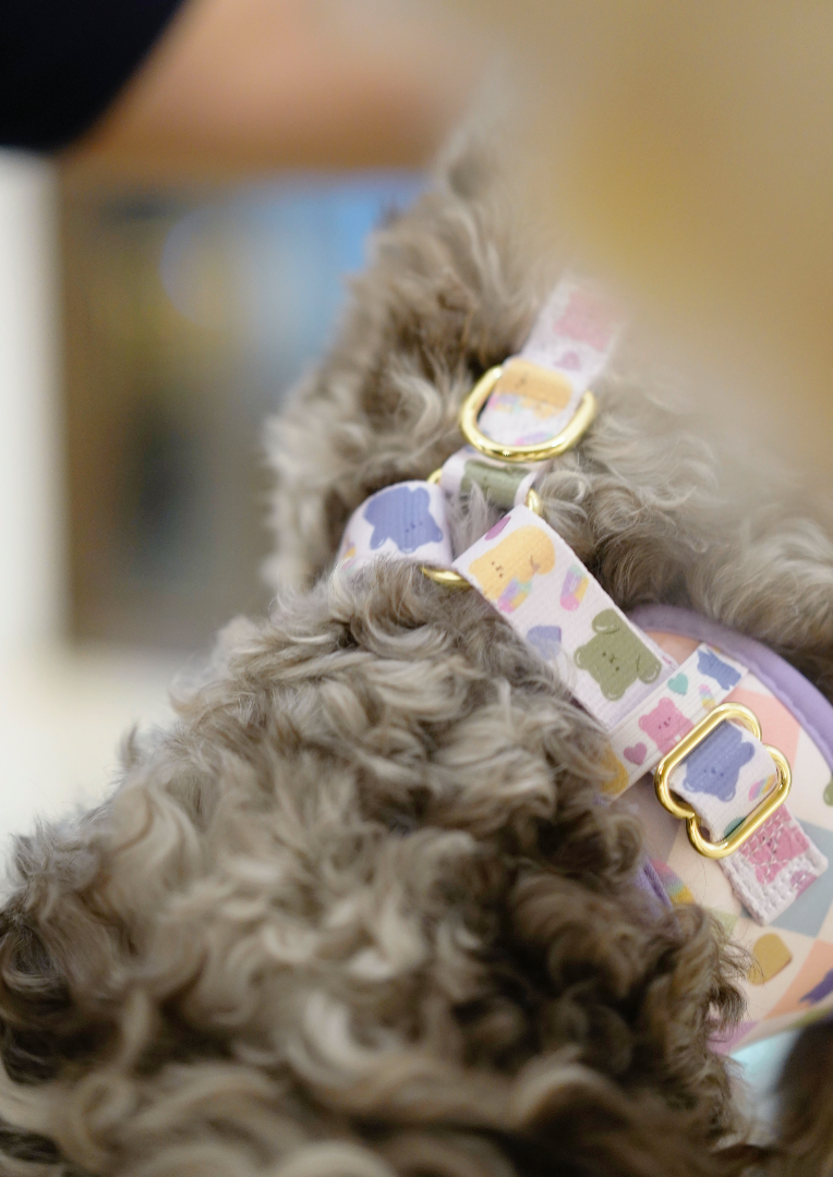 Cuddle Me, Baby Dog Harness (Pride Collection)