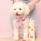 Strawberry Shortcake Dog Harness