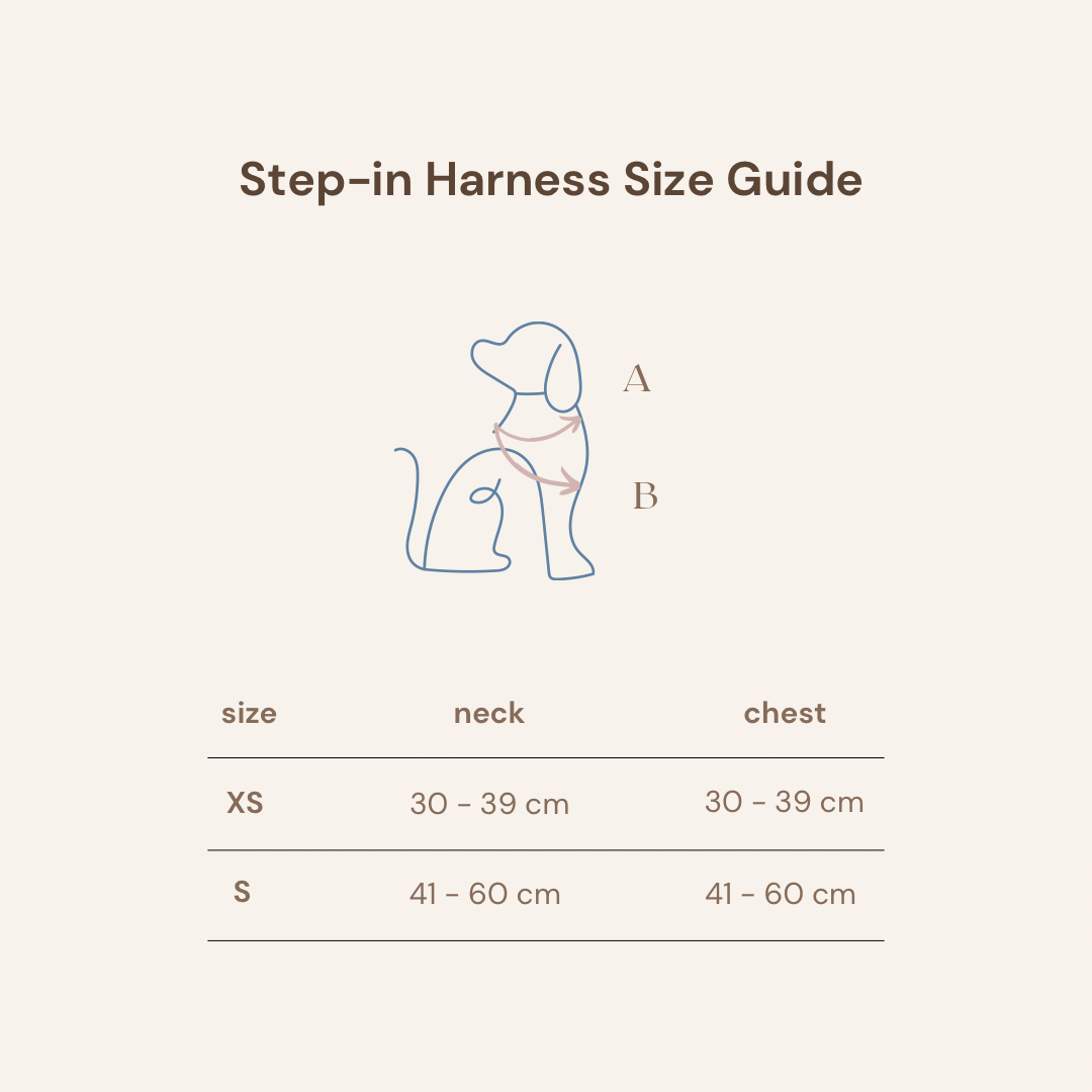 Strawberry Shortcake Dog Step-In Harness