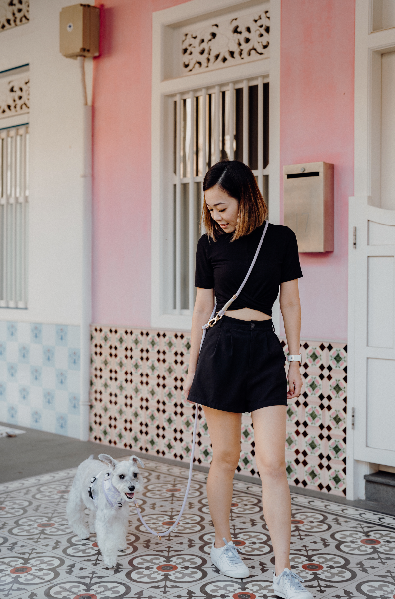 LAVENDER Dog Hands-Free Leash