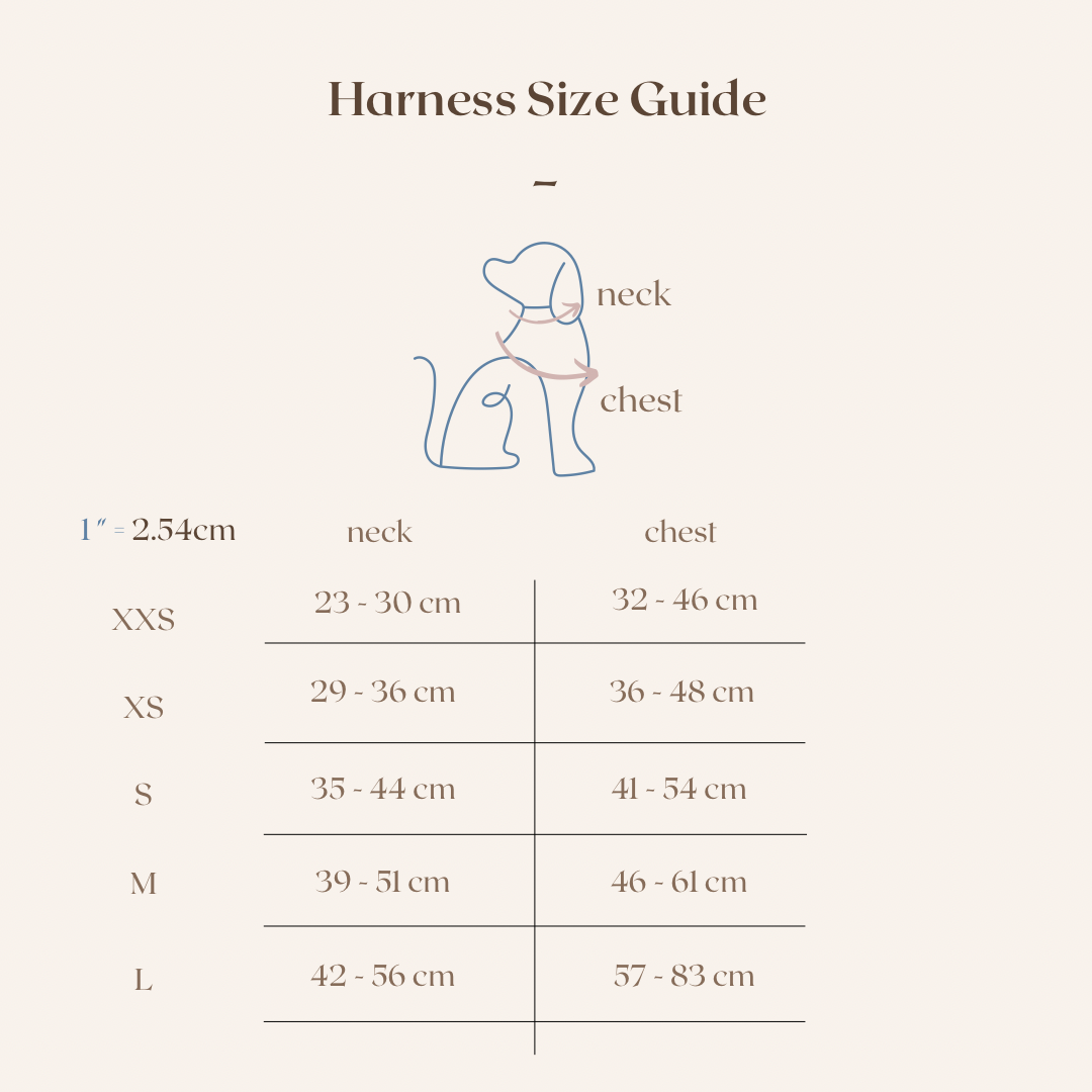 Strawberry Shortcake Dog Harness