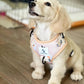 Bee With You Dog Harness