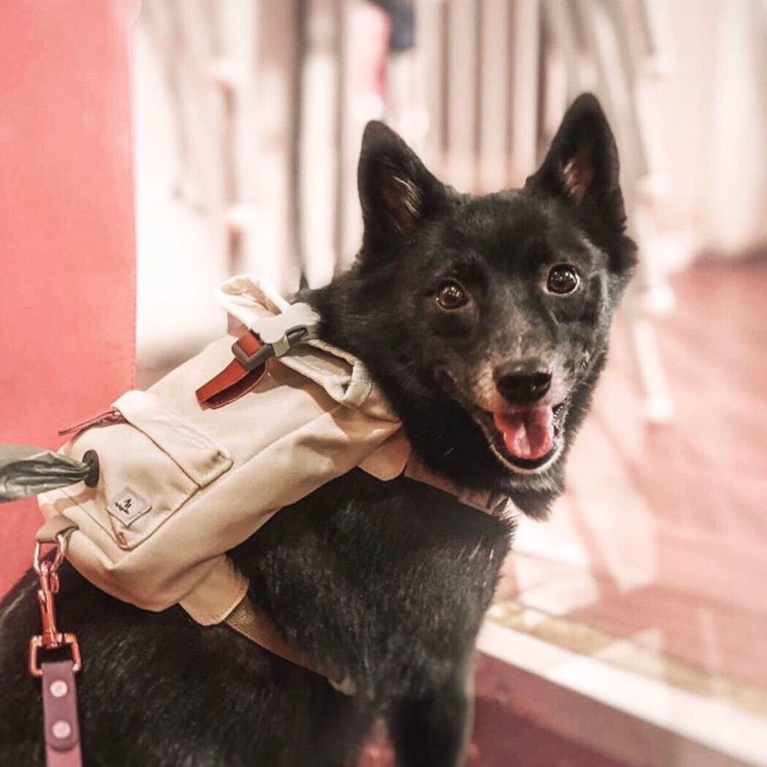 Cream Dream Dog Harness Backpack